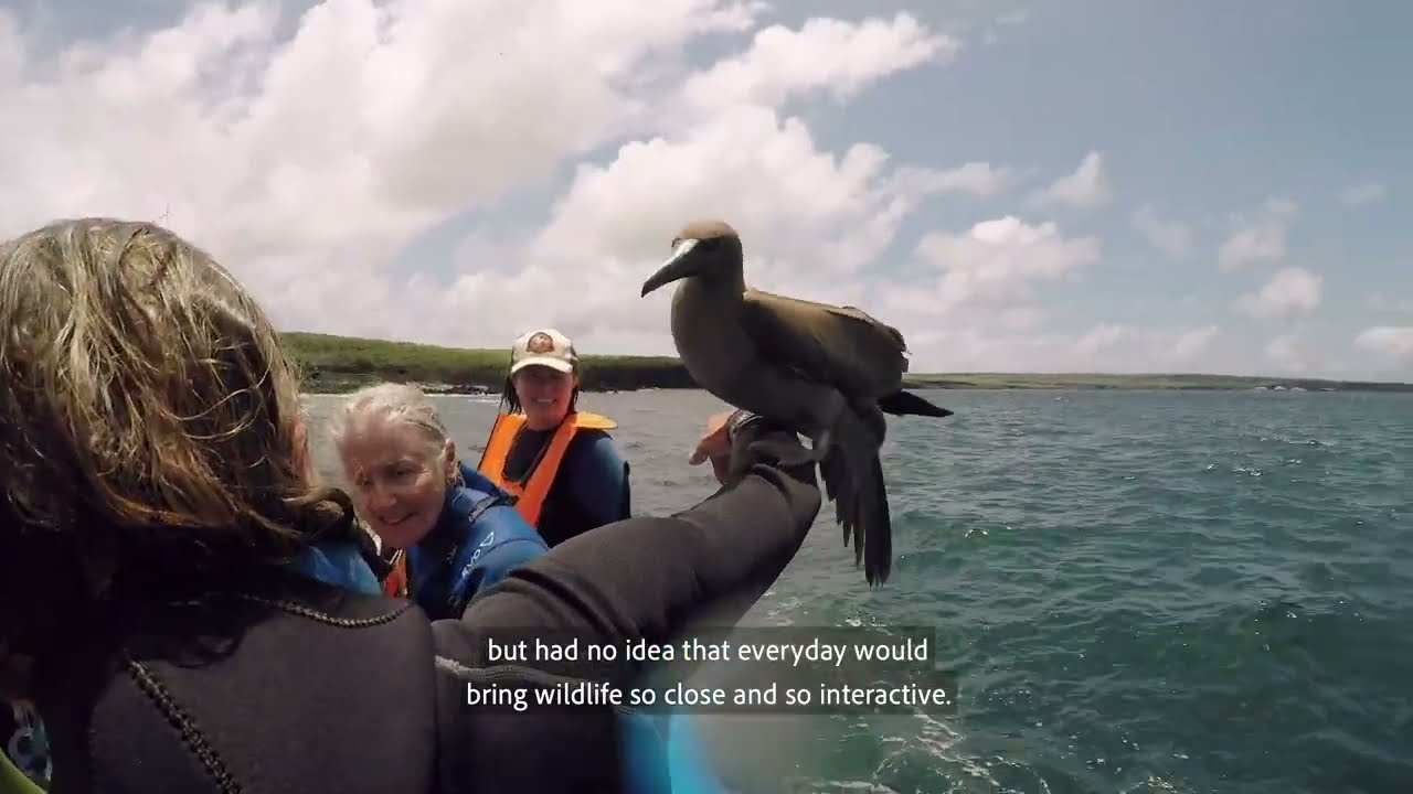 Galápagos Sail the Galapagos Islands YouTube