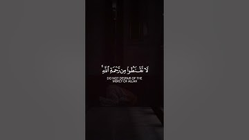 قل يا عبادي الذين أسرفوا على أنفسهم لا تقنطوا من رحمة الله - سورة الزمر - بدرالتركي🎤💝 #القران_الكريم