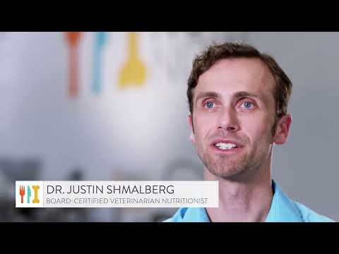 NomNomNow - Truth About Kibble