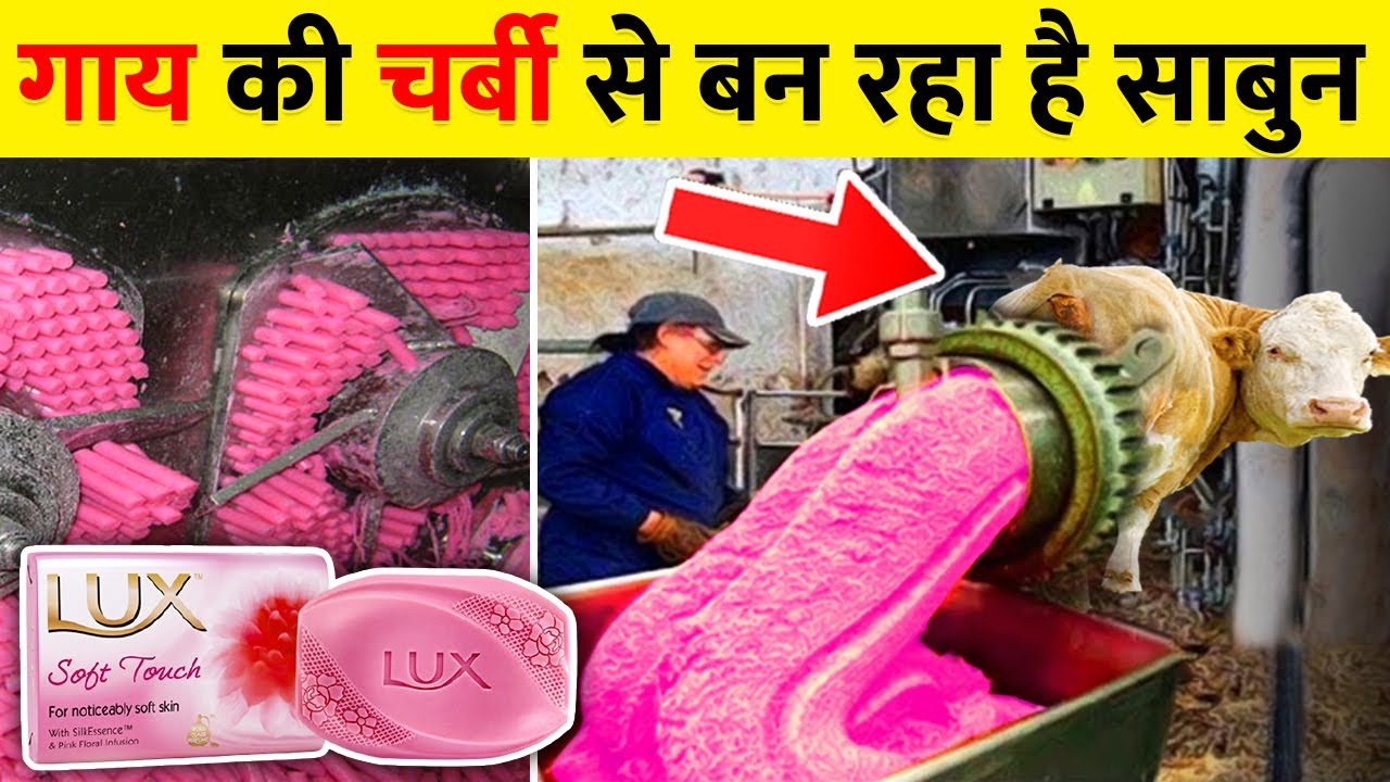 फैक्ट्री में कैसे बनाया जाता है Lux साबुन ? How Lux soap is made in factories? YouTube