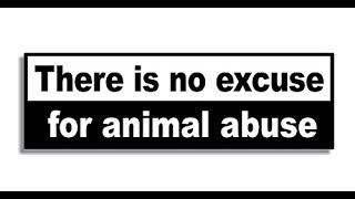 Protect All Wildlife