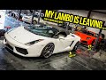 One Of My "Cheap" Lamborghinis Is LEAVING! (You'll NEVER Guess Why) - Garage Update Episode 3