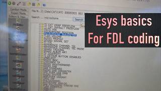 Esys basics, understanding quick FDL coding and changing parameters in your BMW