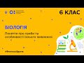 6 клас. Біологія. Поняття про гриби та особливості їхнього живлення (Тиж.7:ПН)