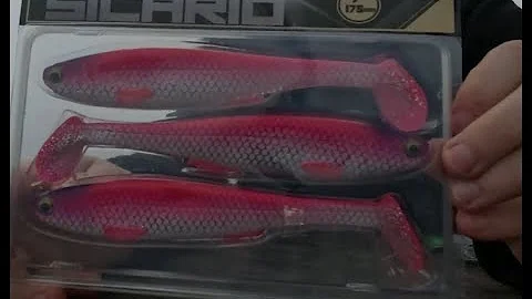 How to Rig Soft Plastics for Murray Cod IRUKANDJI   Sicario