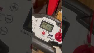 Masons Cinnamon E Working Out On The Treadmill