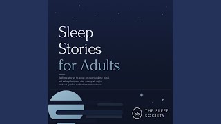 Chapter 4: The Country Library After Closing