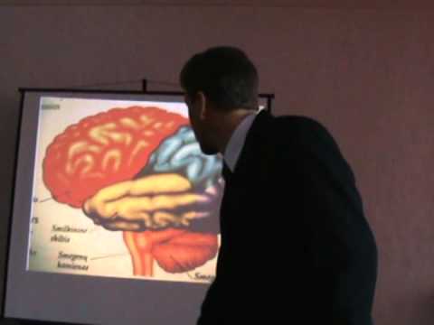 Video: Elektroninės Smegenys Išmoko „pamiršti“informaciją - Alternatyvus Vaizdas