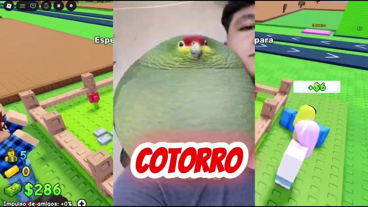 Edición roblox