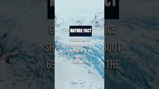 Thats... Thats So Freaking Much.