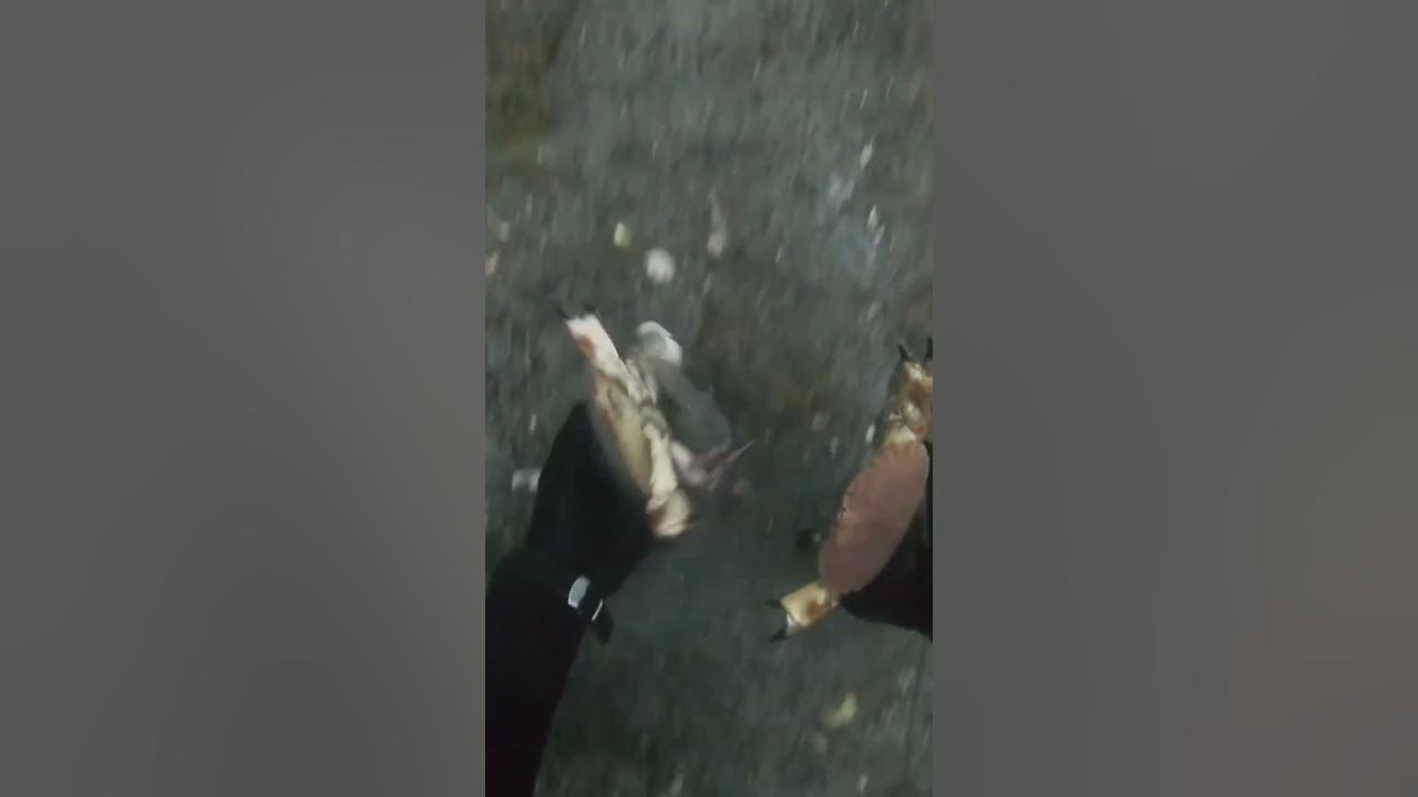 Crab fishing in Norway YouTube