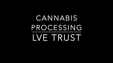 Cannabis Processing with LVE Trust