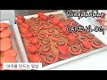 마카롱카페 브이로그 / 하루종일 마카롱 만드는 일상 / 다쿠아즈만들기/ 디저트 카페 사장의 일상 / cafe vlog /korean macaron shop