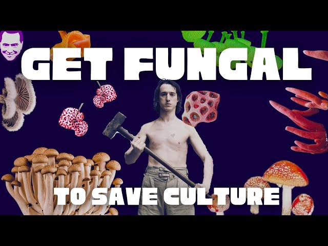 /387/ Get Fungal to Save Culture ft. Lias Saoudi (Fat White Family) class=