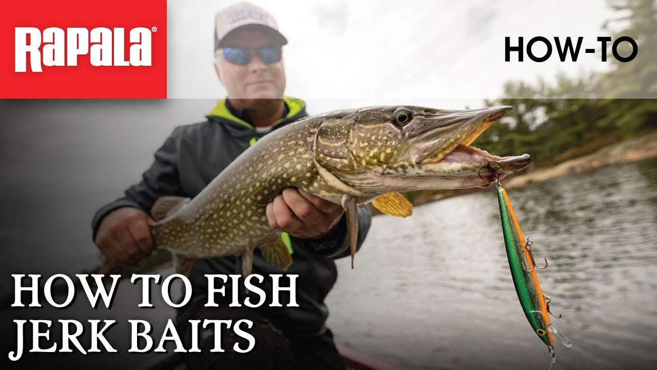 How to Fish Jerk Baits  Rapala Fishing Tips 