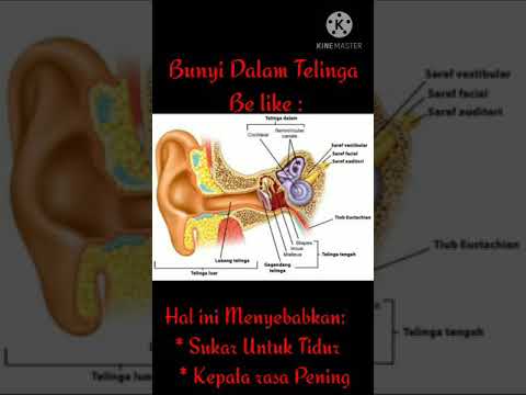 Video: Bilakah gegendang telinga pecah?