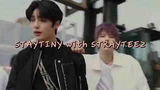 Staytiny With Strayteez My Intro