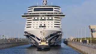 Shipspotting Amsterdam 06 2023  MSC Euribia  & Norwegian Prima