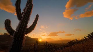 Sunrise In The Desert With Beautifully Relaxing Music - Sonoran Sunrise