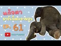 บ้านแก้วตามาร์เก็ตความสุข 28/03/2565