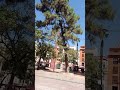 مدينة كاستيلون الإسبانية Castellon 