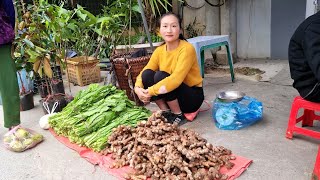 FULL VIDEO: Harvest ginger, green vegetables, wild tubers, people's chickens goes to the market sell