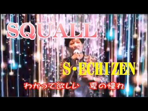 PMV(個人歌唱映像)『Squall』cover Souichi Echizen