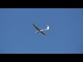 Multiplex heron segler 2400mm maiden flight by captain deji
