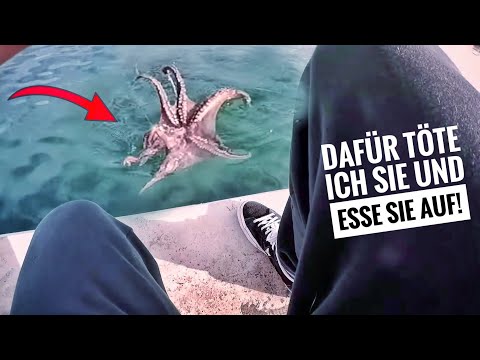 Video: Riesiger Kraken - Alternative Ansicht