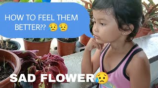 PLANTITA BABY| HOW TO FEEL THEM BETTER?? @mitchboholanavlog6795