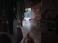 😺