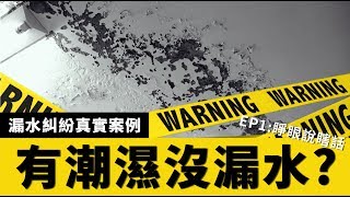 【漏水糾紛真實案例】有潮濕沒漏水?某知名社團法人鑑定錯誤 ... 