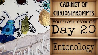 #curiosiprompts - Day 20 - Entomology - Cabinet of Curiosiprompts - Mixed Media Tag
