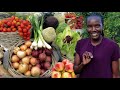 How this ugandan turned her backyard into a thriving farm  tiny space big harvests