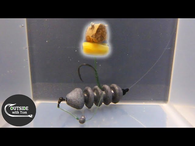 Underwater Hook Baits Experiment (Carp Fishing) 