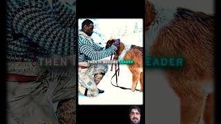 #dog #dogs #emotional #viral #animals #funny #duet #sad @funnymovie193