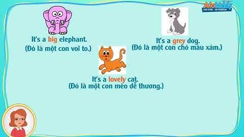 Ngữ pháp tiếng Anh lớp 3 unit 4 - Tính từ | Alokiddy