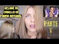 ACLARÉ MI CABELLO EN CASA DE FORMA NATURAL Y ASÍ TERMINÓ (PARTE V) | MATIZA TU CABELLO MODO MAYA