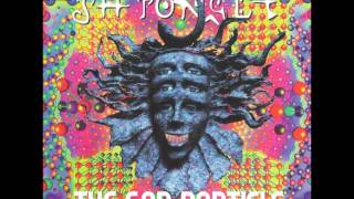 Shpongle - The God Particle [Full EP]