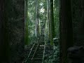まるで異世界のような神社、見つけました。