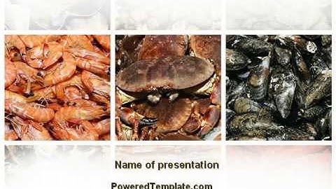 Shrimps And Crabs With Oysters PowerPoint Template by PoweredTemplate.com