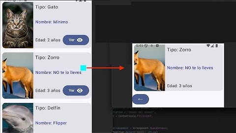 Clase 12 Android -  Navegación
