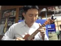 Hotel california ukulele version