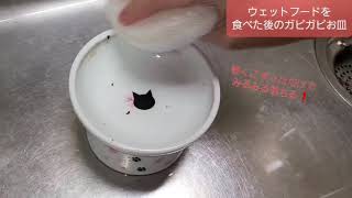 【レビュー】猫壱 食器用スポンジ 本当にヌルヌル汚れが洗剤なしでキレイに落ちるか試してみた