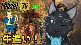 【Fallout76/PC版/参加型】＃91　牛追いしたりチャレンジしたりエイリアンしたり！🐺👍【フォールアウト76/Steam版】【津軽弁狛犬Vtuber】