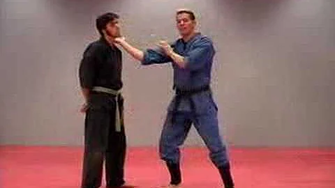 Rick Tew Ninja Training with Knife Hand Strike