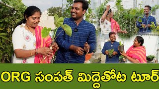 సంపత్ తోటలోని కొత్త ఐడియాలు.. ముచ్చట్లతో టైమే తెలియలేదు| garden tour| TTH|