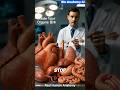 These Organs Keep You Alive Every Second#doctor#humananatomy🧠#body#science #3danimation#shorts#viral