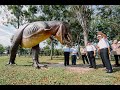 Taman batuan geologi terbesar malaysia di universiti teknologi petronas utp