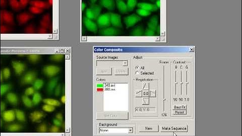 Tint and Merge Images Tutorial - Image-Pro Plus